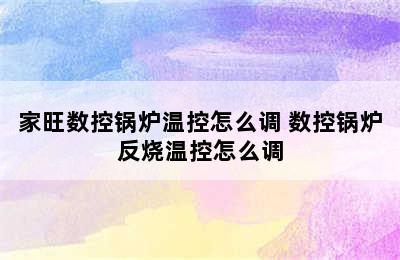 家旺数控锅炉温控怎么调 数控锅炉反烧温控怎么调